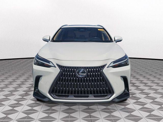2024 Lexus NX Premium